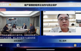 法学专家聚焦重庆隆鑫系重整案：破产程序正当性如何平衡民企保护？